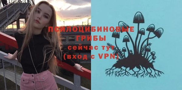 ПСИЛОЦИБИНОВЫЕ ГРИБЫ Алексин