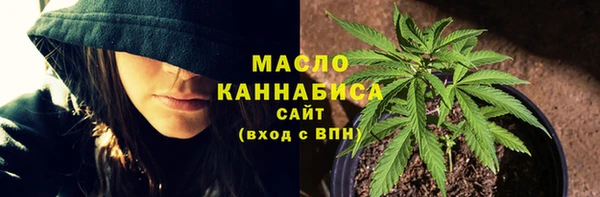 хмурый Абаза