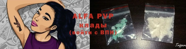 хмурый Абаза