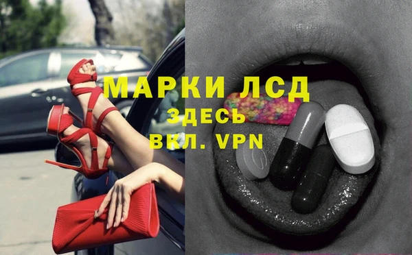хмурый Абаза