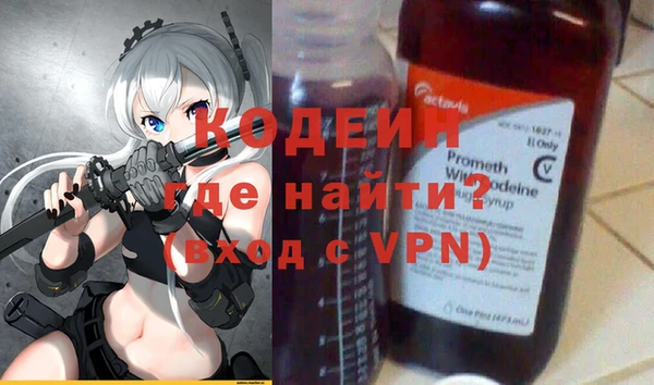 хмурый Абаза