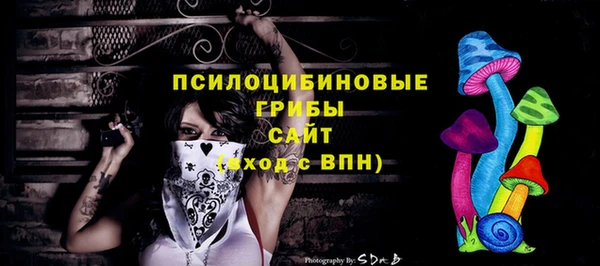 гашик Покров