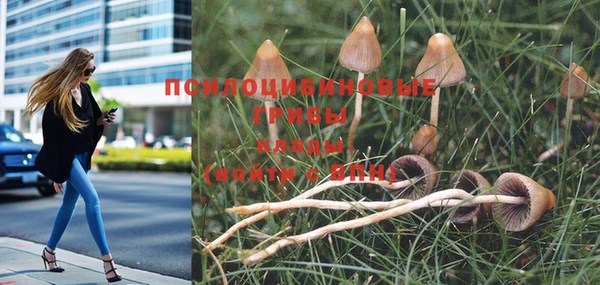 кокаин перу Абинск