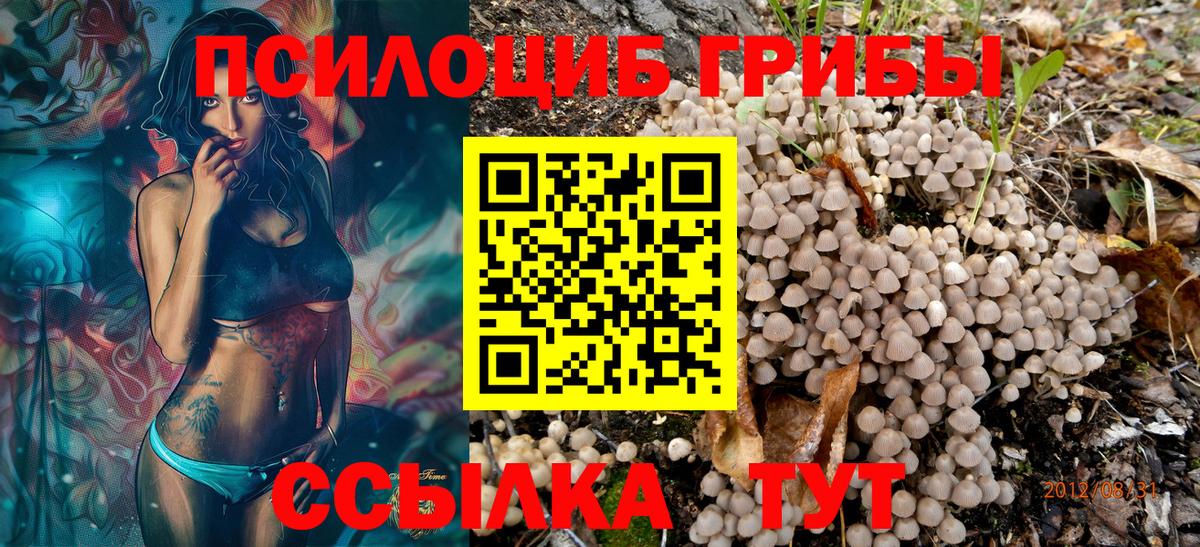 Галлюциногенные грибы прущие грибы Старая Русса